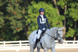 Elevate Your Horsemanship: Explore the World of Dressage Events!