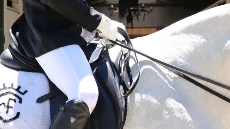 Saddle Up for Success: Conquer Dressage Events Now!