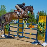 Unleash Your Equestrian Spirit: Dive into Dressage Events!